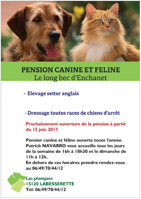 Du Long Bec D'enchanet - Pension canine et féline