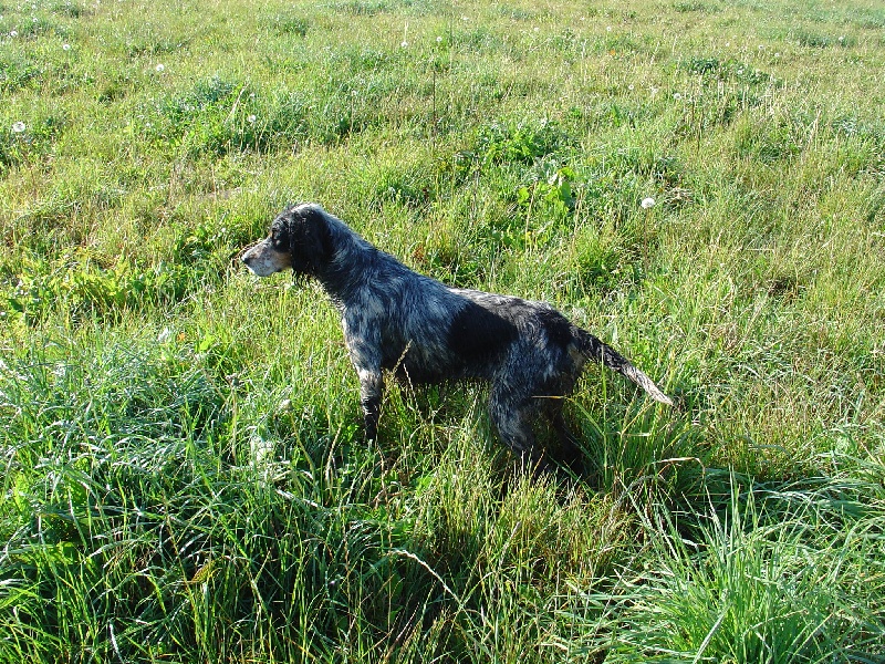 Rita du pic d'aubraquet