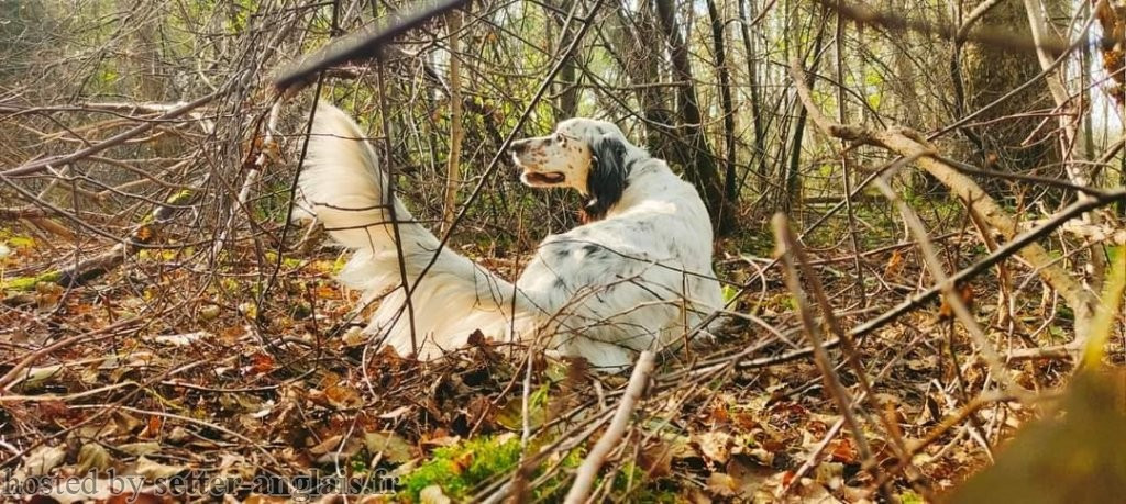 TR. TIC TAC Du Long Bec D'enchanet