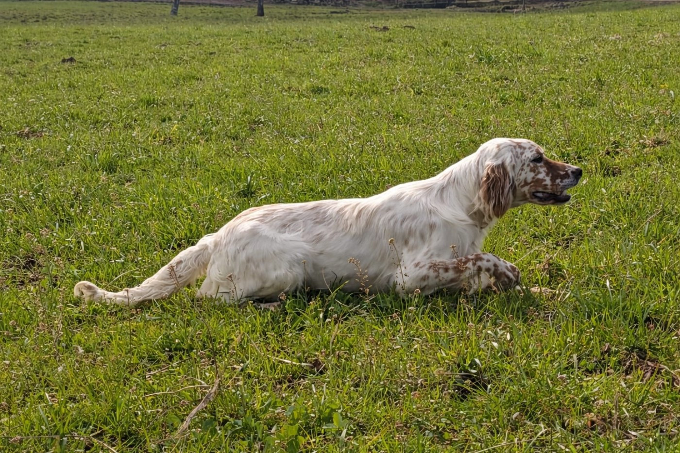 ASIA des coteaux de la loue